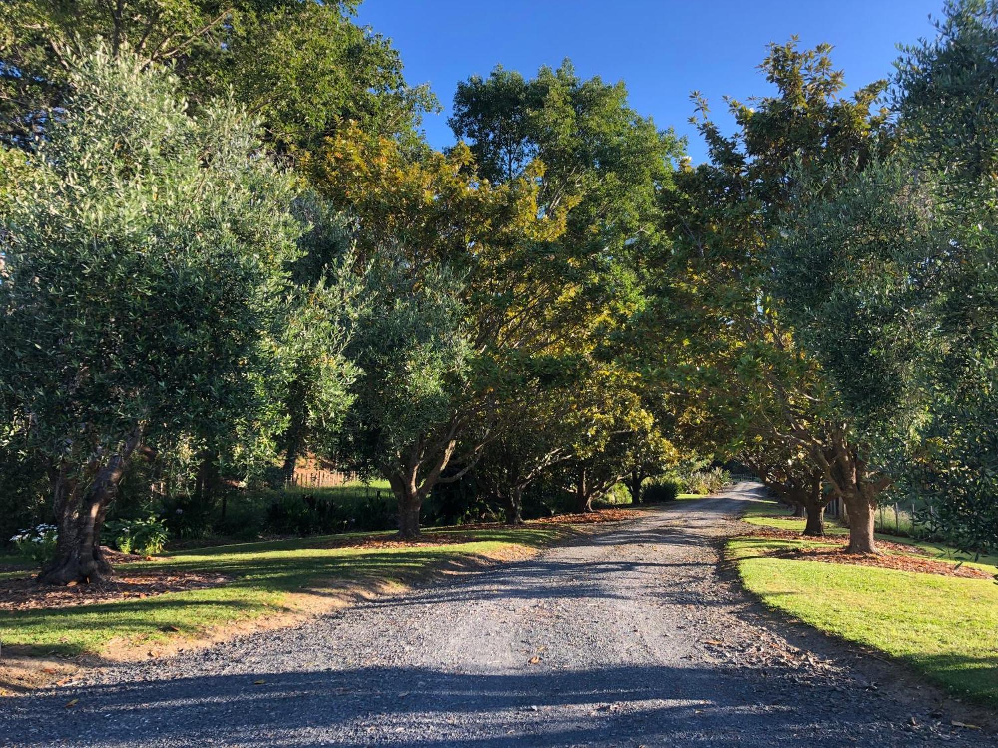 Villetta - Matakana Boutique Luxury Accommodation 外观 照片
