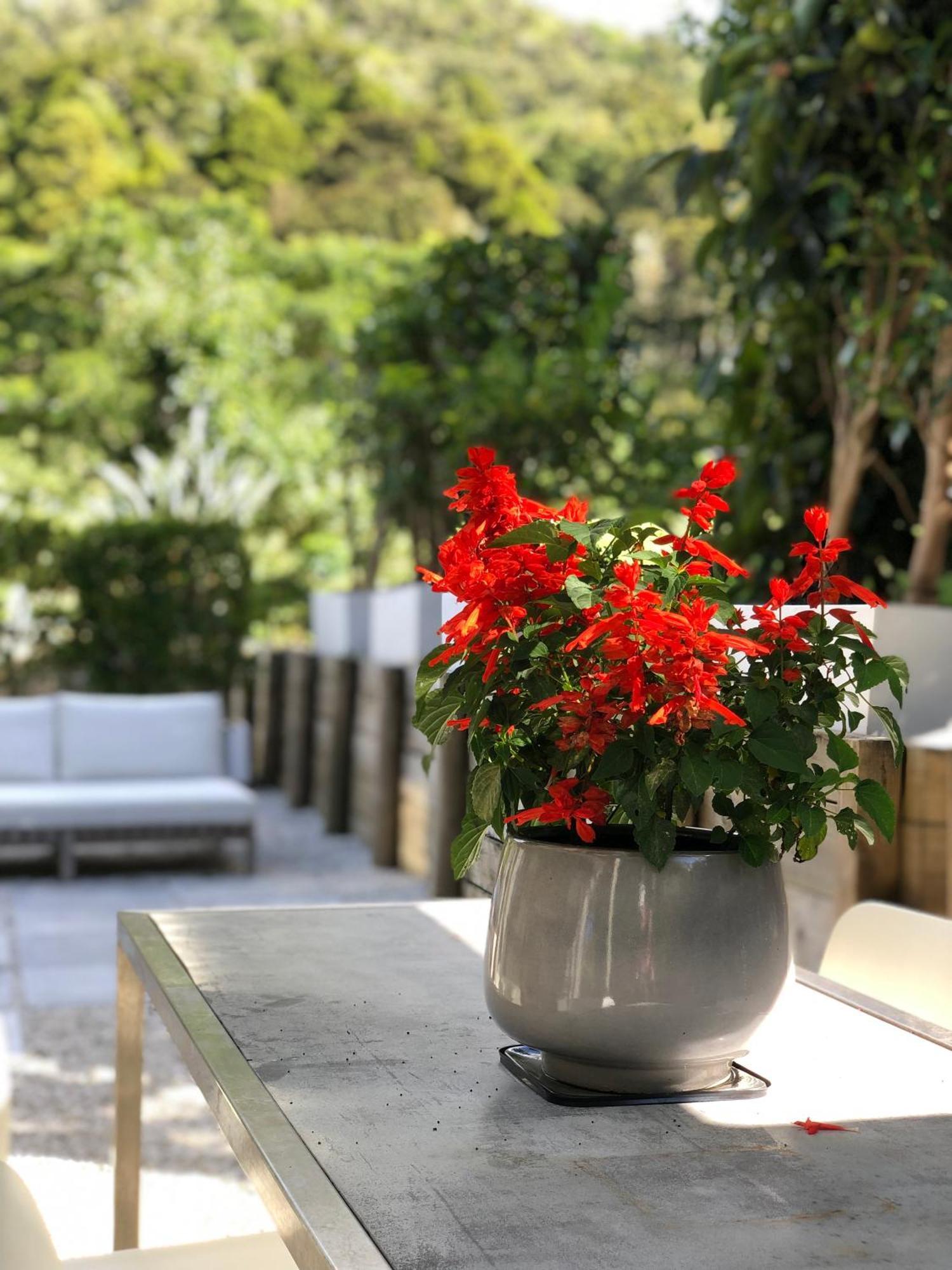 Villetta - Matakana Boutique Luxury Accommodation 外观 照片